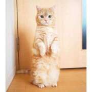 ヒメ日記 2025/10/07 22:40 投稿 すずか 鹿児島ちゃんこ 天文館店