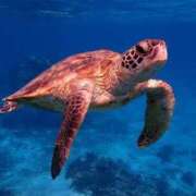 ヒメ日記 2025/08/16 21:42 投稿 なゆた『ぽっちゃりコース』 素人学園＠