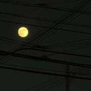 ヒメ日記 2025/10/07 14:06 投稿 なゆた『ぽっちゃりコース』 素人学園＠