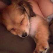 ヒメ日記 2025/11/27 16:33 投稿 なゆた『ぽっちゃりコース』 素人学園＠