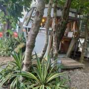 ヒメ日記 2025/12/25 15:18 投稿 なゆた『ぽっちゃりコース』 素人学園＠