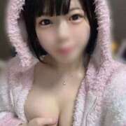 ヒメ日記 2025/05/30 17:02 投稿 ちる 極楽城(ゴクラクジョウ)