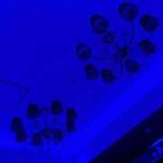 ヒメ日記 2025/07/11 07:31 投稿 めい 清純美女の秘密 Parfaite Luna☆(パルフェットルナ)