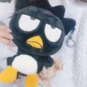 ヒメ日記 2025/07/27 00:51 投稿 めい 清純美女の秘密 Parfaite Luna☆(パルフェットルナ)