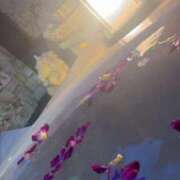 めい 清純美女の秘密 うわきだめーっ！♡ Parfaite Luna☆(パルフェットルナ)