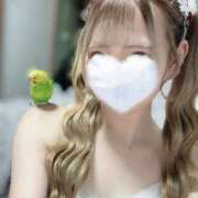 ヒメ日記 2026/01/09 09:15 投稿 くるみ コスプレ痴漢電車