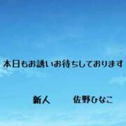ヒメ日記 2025/04/29 11:00 投稿 佐野ひなこ 五十路マダムエクスプレス横浜店（カサブランカグループ）