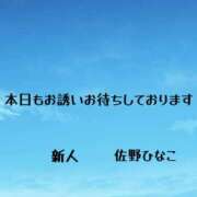 ヒメ日記 2025/05/10 11:04 投稿 佐野ひなこ 五十路マダムエクスプレス横浜店（カサブランカグループ）