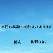 ヒメ日記 2025/05/17 07:02 投稿 佐野ひなこ 五十路マダムエクスプレス横浜店（カサブランカグループ）