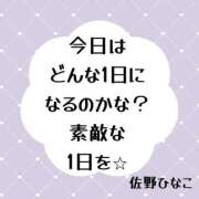 ヒメ日記 2025/06/21 08:02 投稿 佐野ひなこ 五十路マダムエクスプレス横浜店（カサブランカグループ）