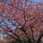 ヒメ日記 2026/03/12 12:46 投稿 佐野ひなこ 五十路マダムエクスプレス横浜店（カサブランカグループ）