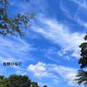 ヒメ日記 2026/09/17 09:00 投稿 佐野ひなこ 五十路マダムエクスプレス横浜店（カサブランカグループ）