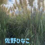 ヒメ日記 2026/09/30 23:24 投稿 佐野ひなこ 五十路マダムエクスプレス横浜店（カサブランカグループ）