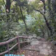 ヒメ日記 2026/10/12 09:40 投稿 佐野ひなこ 五十路マダムエクスプレス横浜店（カサブランカグループ）