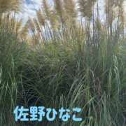 ヒメ日記 2026/10/21 12:26 投稿 佐野ひなこ 五十路マダムエクスプレス横浜店（カサブランカグループ）