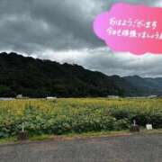 ヒメ日記 2025/09/29 09:30 投稿 山内こずえ 五十路マダム 博多店