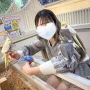 ヒメ日記 2026/02/10 09:48 投稿 くるみ 全裸SUPERプレミアム