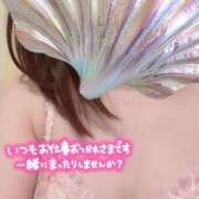 ヒメ日記 2025/07/19 09:39 投稿 浅尾 まり カサノヴァ