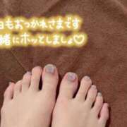 ヒメ日記 2025/07/20 10:33 投稿 浅尾 まり カサノヴァ