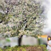 ヒメ日記 2025/05/11 08:04 投稿 しん 新妻物語