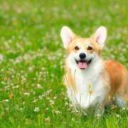 ヒメ日記 2025/05/29 21:58 投稿 しん 新妻物語