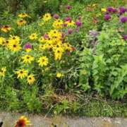 ヒメ日記 2025/06/13 07:58 投稿 しん 新妻物語