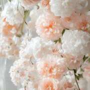 ヒメ日記 2025/07/15 07:48 投稿 しん 新妻物語