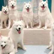 ヒメ日記 2025/09/03 07:58 投稿 しん 新妻物語