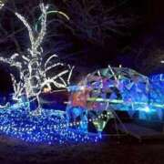 ヒメ日記 2026/01/09 08:18 投稿 しん 新妻物語