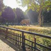 ヒメ日記 2026/02/01 09:48 投稿 しん 新妻物語