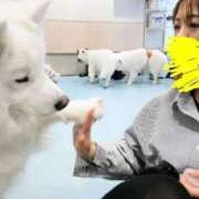 ヒメ日記 2026/02/17 08:38 投稿 しん 新妻物語