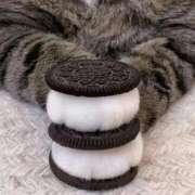 ヒメ日記 2026/02/24 07:18 投稿 しん 新妻物語