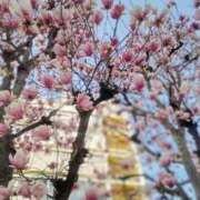 ヒメ日記 2026/03/24 06:38 投稿 しん 新妻物語