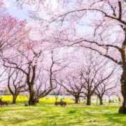 ヒメ日記 2026/03/28 08:58 投稿 しん 新妻物語