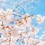 ヒメ日記 2026/03/29 07:38 投稿 しん 新妻物語