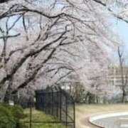 ヒメ日記 2026/03/30 09:48 投稿 しん 新妻物語