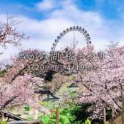 ヒメ日記 2026/04/04 09:08 投稿 しん 新妻物語