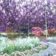 ヒメ日記 2026/04/27 07:28 投稿 しん 新妻物語