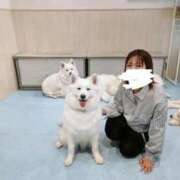ヒメ日記 2026/07/20 06:58 投稿 しん 新妻物語