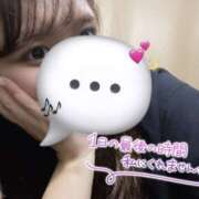 ありさ 😽🍒 新横浜ちゃんこ