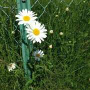 ヒメ日記 2025/05/12 09:34 投稿 ふうか 横浜人妻花壇本店