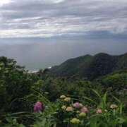 ヒメ日記 2025/05/17 08:25 投稿 ふうか 横浜人妻花壇本店