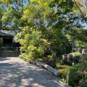 ヒメ日記 2025/05/23 09:12 投稿 ふうか 横浜人妻花壇本店