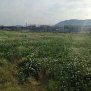 ヒメ日記 2025/05/29 09:17 投稿 ふうか 横浜人妻花壇本店