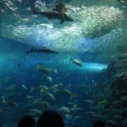 ヒメ日記 2025/07/28 12:09 投稿 ふうか 横浜人妻花壇本店