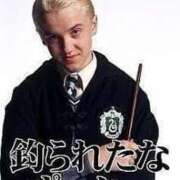 ヒメ日記 2025/07/31 15:31 投稿 ふうか 横浜人妻花壇本店