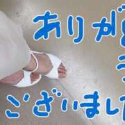 ヒメ日記 2025/08/17 07:58 投稿 ふうか 横浜人妻花壇本店