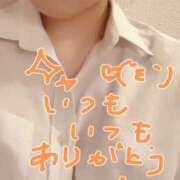 ヒメ日記 2025/11/30 18:22 投稿 ふうか 横浜人妻花壇本店