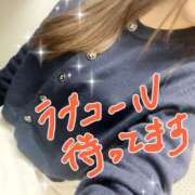 ヒメ日記 2026/03/03 15:14 投稿 ふうか 横浜人妻花壇本店