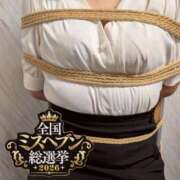 ヒメ日記 2026/09/17 08:02 投稿 ふうか 横浜人妻花壇本店